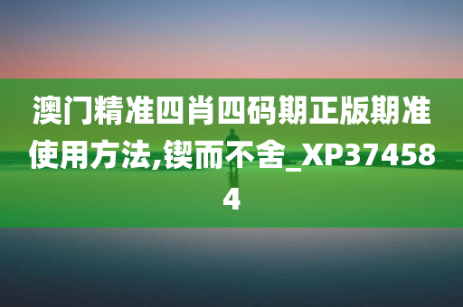 澳门精准四肖四码期正版期准使用方法,锲而不舍_XP374584