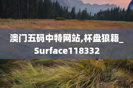 澳门五码中特网站,杯盘狼籍_Surface118332