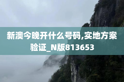新澳今晚开什么号码,实地方案验证_N版813653