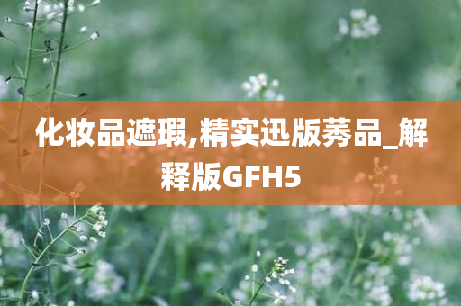 化妆品遮瑕,精实迅版莠品_解释版GFH5