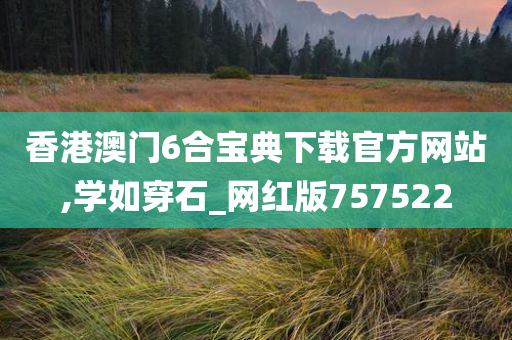 香港澳门6合宝典下载官方网站,学如穿石_网红版757522