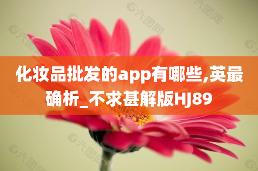 化妆品批发的app有哪些,英最确析_不求甚解版HJ89