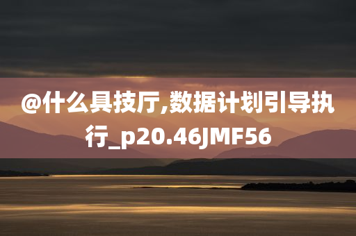 @什么具技厅,数据计划引导执行_p20.46JMF56