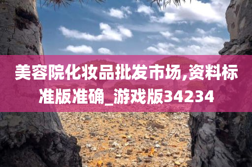 美容院化妆品批发市场,资料标准版准确_游戏版34234