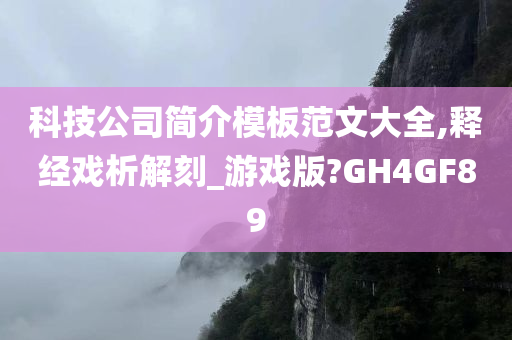 科技公司简介模板范文大全,释经戏析解刻_游戏版?GH4GF89