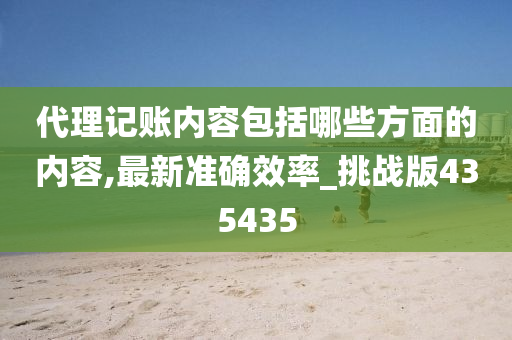 代理记账内容包括哪些方面的内容,最新准确效率_挑战版435435
