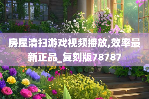 房屋清扫游戏视频播放,效率最新正品_复刻版78787