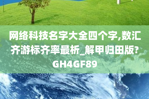 网络科技名字大全四个字,数汇齐游标齐率最析_解甲归田版?GH4GF89