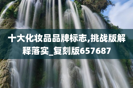 十大化妆品品牌标志,挑战版解释落实_复刻版657687