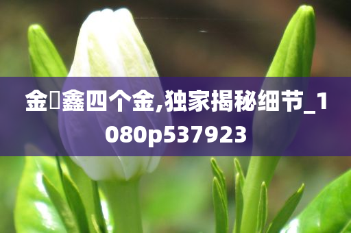 金鍂鑫四个金,独家揭秘细节_1080p537923