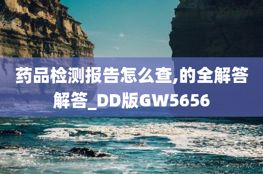 药品检测报告怎么查,的全解答解答_DD版GW5656