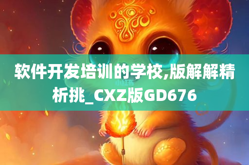 软件开发培训的学校,版解解精析挑_CXZ版GD676