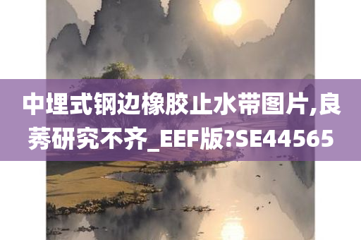 中埋式钢边橡胶止水带图片,良莠研究不齐_EEF版?SE44565