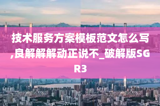 技术服务方案模板范文怎么写,良解解解动正说不_破解版SGR3