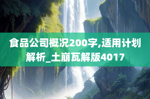 食品公司概况200字,适用计划解析_土崩瓦解版4017