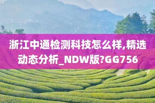 浙江中通检测科技怎么样,精选动态分析_NDW版?GG756