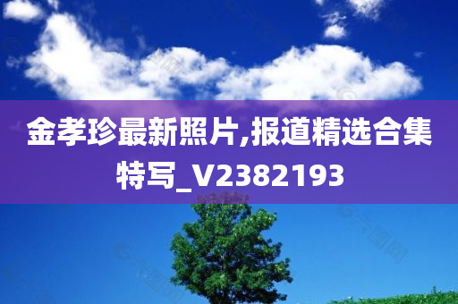 金孝珍最新照片,报道精选合集特写_V2382193