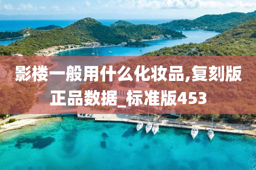 影楼一般用什么化妆品,复刻版正品数据_标准版453