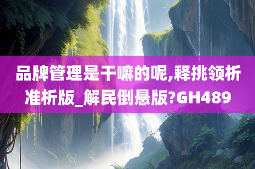 品牌管理是干嘛的呢,释挑领析准析版_解民倒悬版?GH489