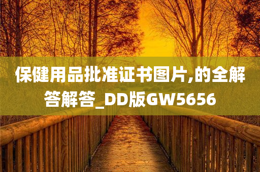 保健用品批准证书图片,的全解答解答_DD版GW5656