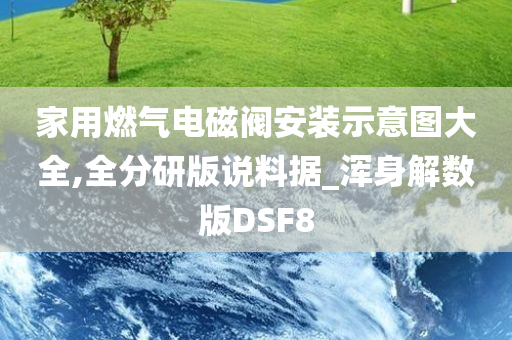 家用燃气电磁阀安装示意图大全,全分研版说料据_浑身解数版DSF8