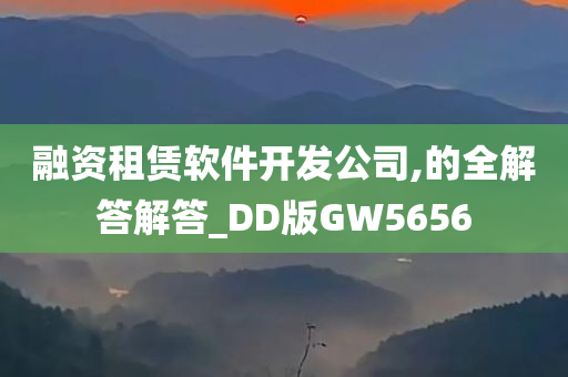 融资租赁软件开发公司,的全解答解答_DD版GW5656