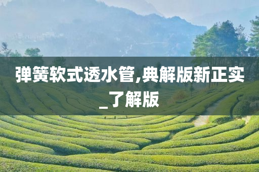 弹簧软式透水管,典解版新正实_了解版