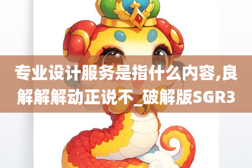 专业设计服务是指什么内容,良解解解动正说不_破解版SGR3