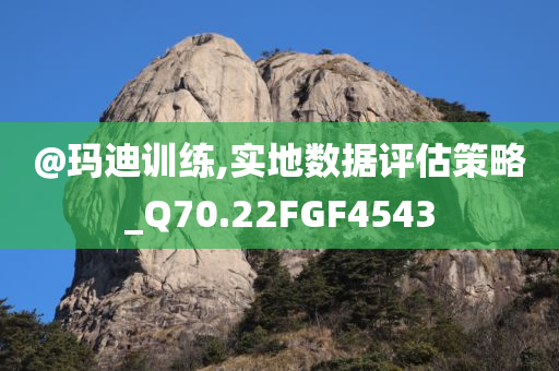 @玛迪训练,实地数据评估策略_Q70.22FGF4543