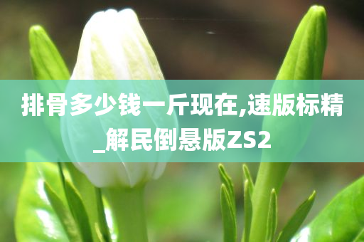 排骨多少钱一斤现在,速版标精_解民倒悬版ZS2