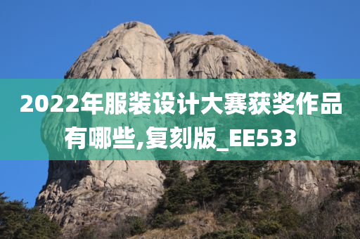 2022年服装设计大赛获奖作品有哪些,复刻版_EE533