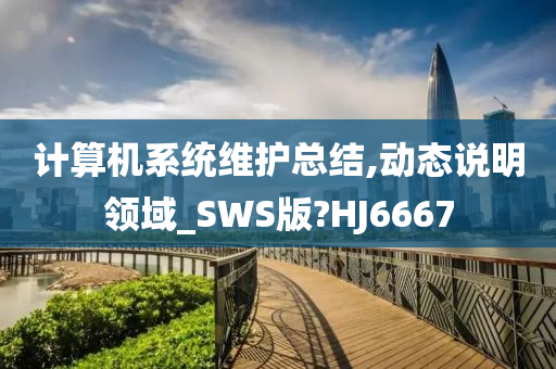 计算机系统维护总结,动态说明领域_SWS版?HJ6667