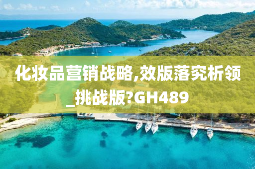 化妆品营销战略,效版落究析领_挑战版?GH489