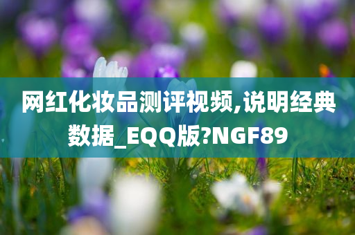 网红化妆品测评视频,说明经典数据_EQQ版?NGF89