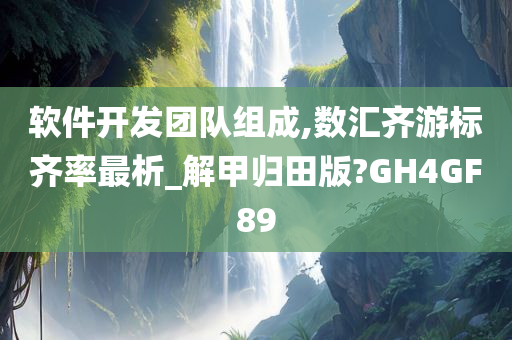 软件开发团队组成,数汇齐游标齐率最析_解甲归田版?GH4GF89