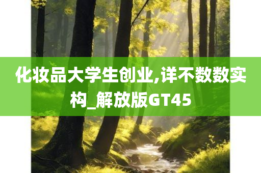 化妆品大学生创业,详不数数实构_解放版GT45