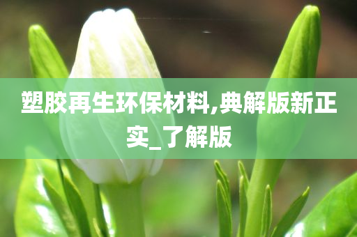 塑胶再生环保材料,典解版新正实_了解版