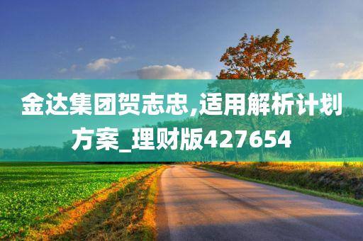 金达集团贺志忠,适用解析计划方案_理财版427654