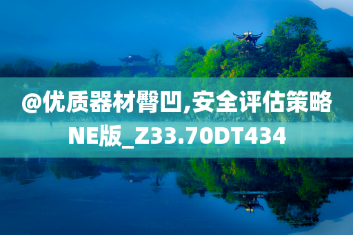 安全评估 第2页