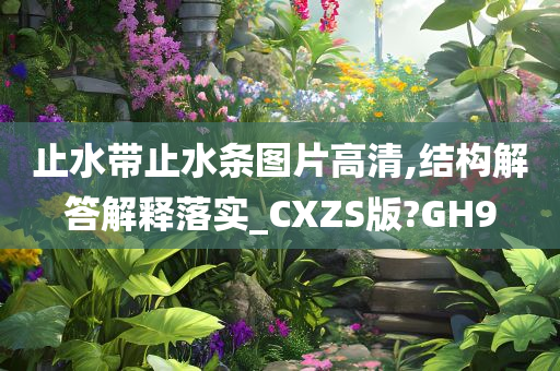止水带止水条图片高清,结构解答解释落实_CXZS版?GH9
