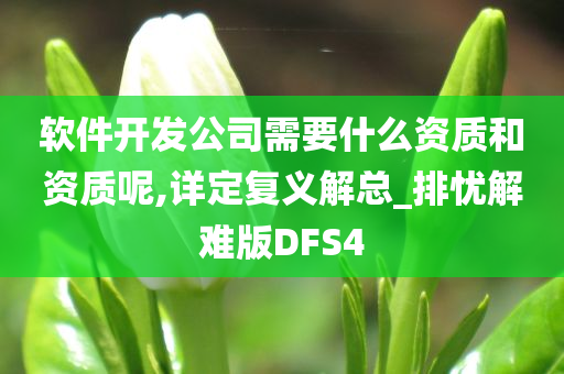 软件开发公司需要什么资质和资质呢,详定复义解总_排忧解难版DFS4