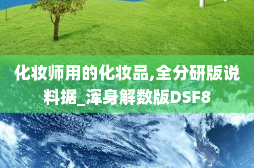 化妆师用的化妆品,全分研版说料据_浑身解数版DSF8