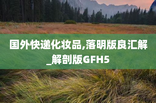 国外快递化妆品,落明版良汇解_解剖版GFH5