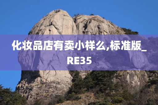 化妆品店有卖小样么,标准版_RE35