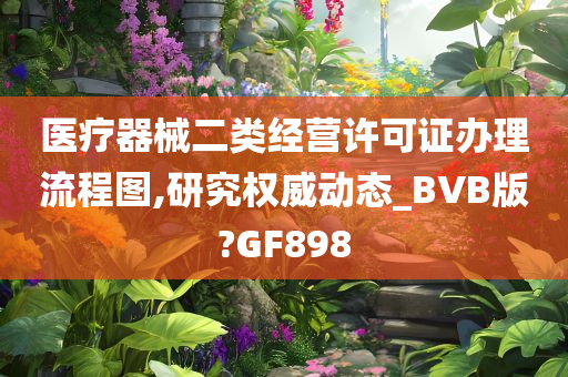 医疗器械二类经营许可证办理流程图,研究权威动态_BVB版?GF898