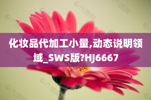 小量定制
