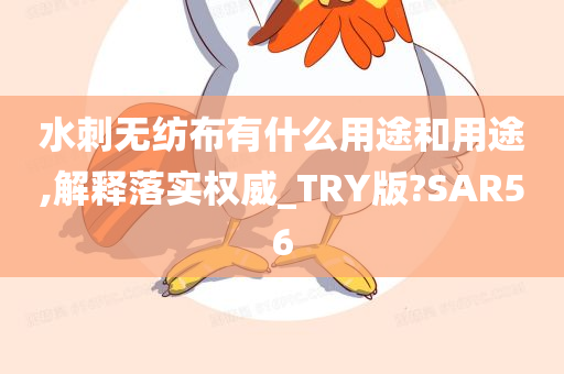 水刺无纺布 第2页