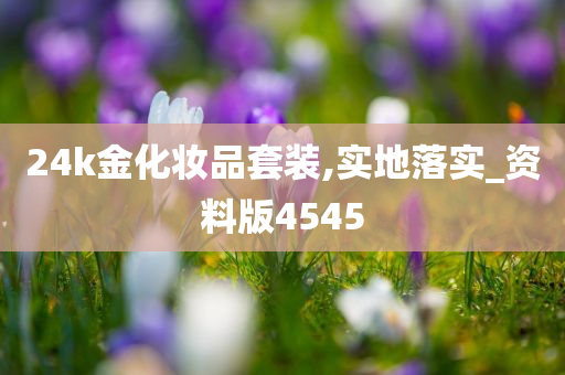 24k金化妆品套装,实地落实_资料版4545