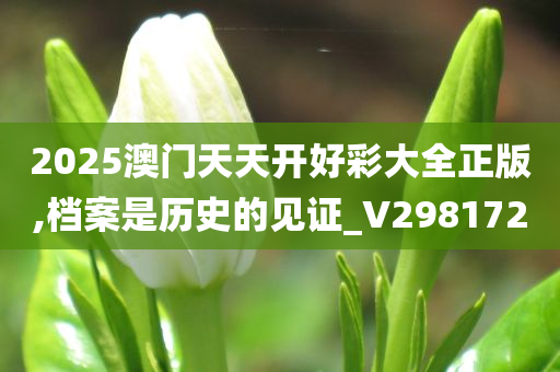 2025澳门天天开好彩大全正版,档案是历史的见证_V2981720