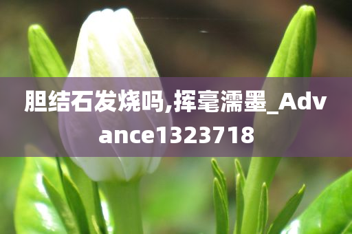 胆结石发烧吗,挥毫濡墨_Advance1323718